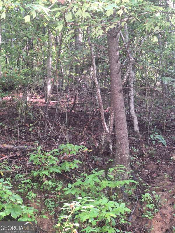 0 Coopers Creek RD, Suches, GA 30572