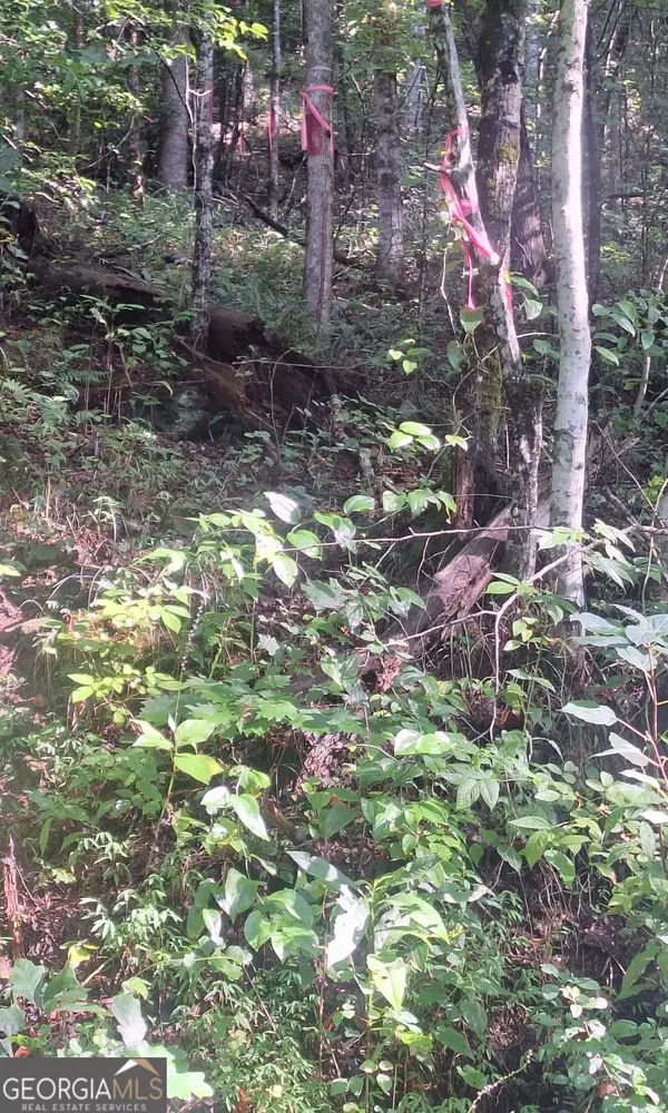 Suches, GA 30572,0 Coopers Creek RD