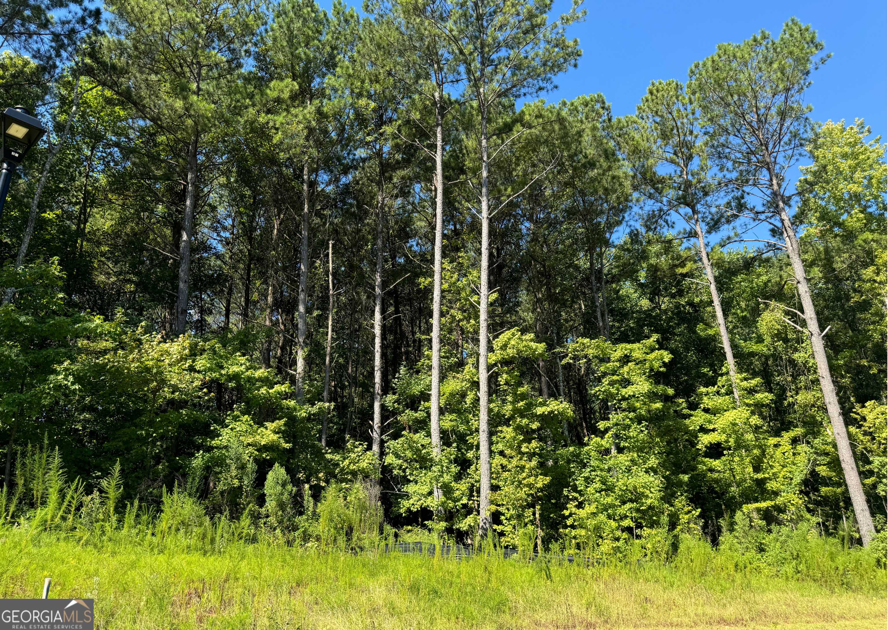Mcdonough, GA 30253,118 Spyglass CIR