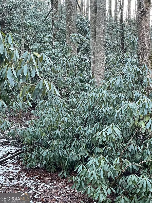 Sky Valley, GA 30537,0 Bald Mountain RD #LOT 8