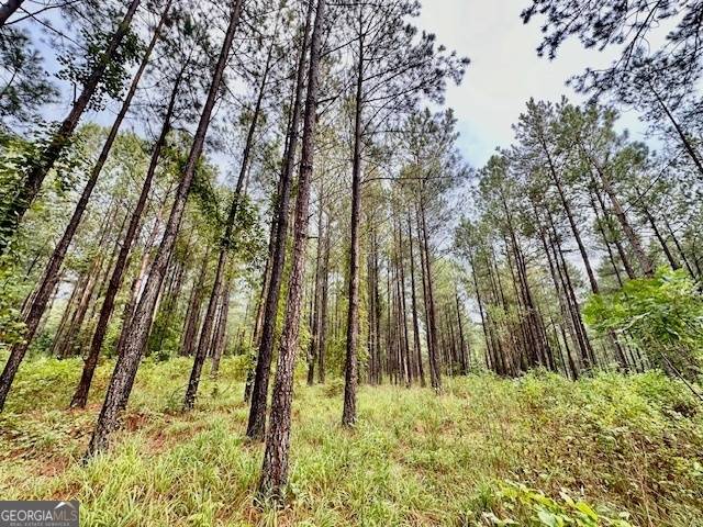Monticello, GA 31064,4760 Jordan RD