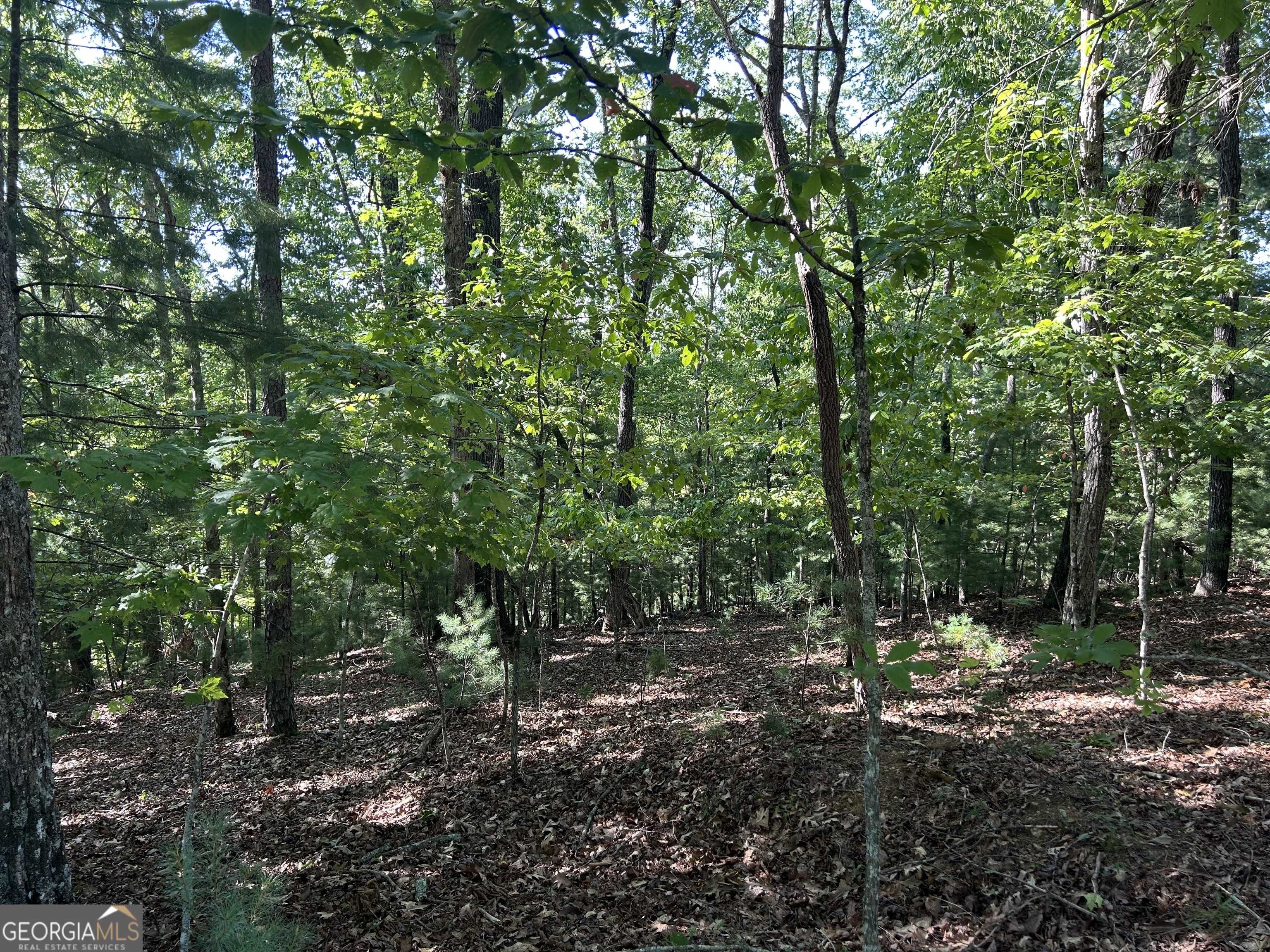 Morganton, GA 30560,LT 4 Oak Crest DR #4