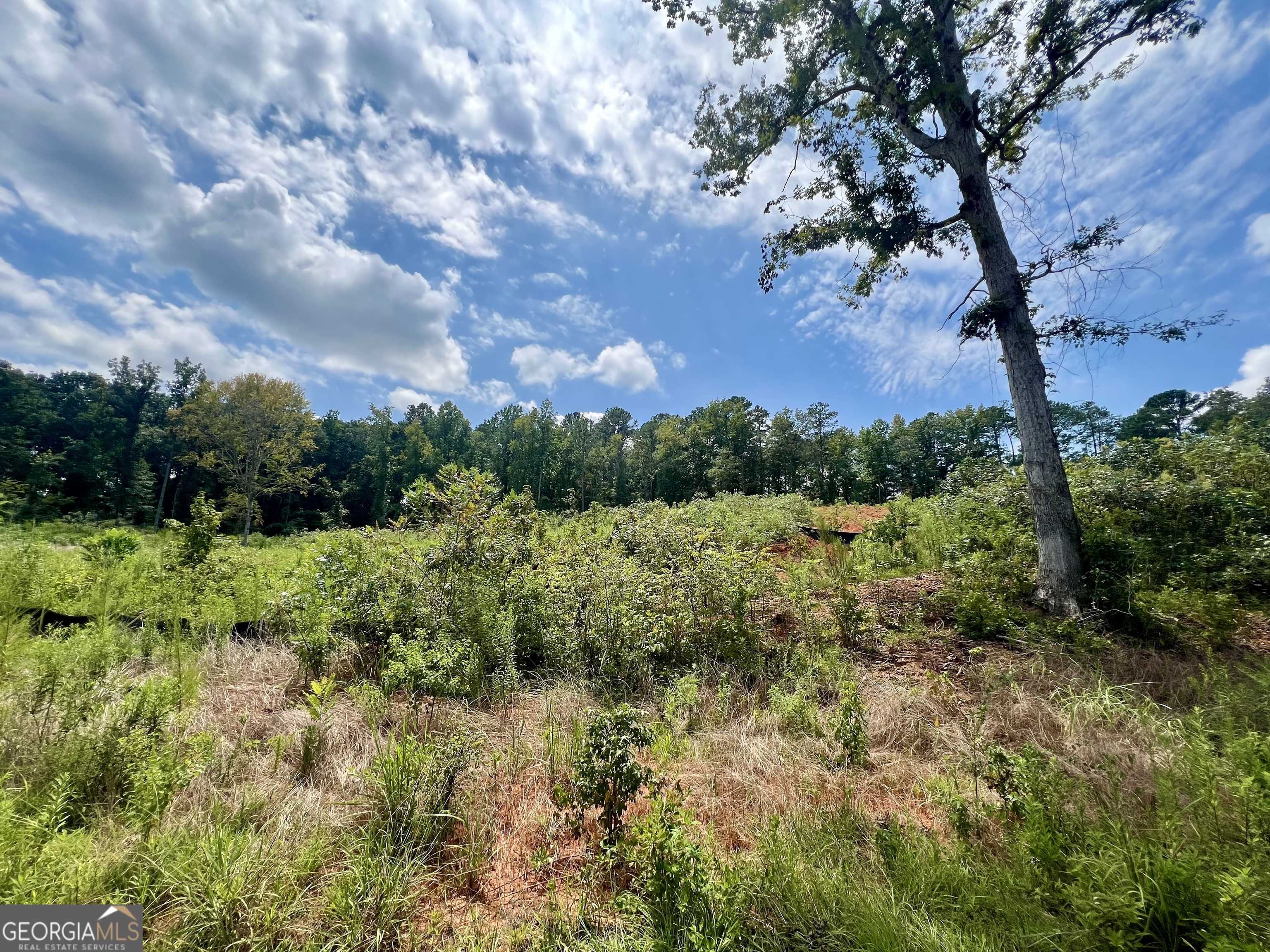 Monticello, GA 31064,231 Water Oak DR