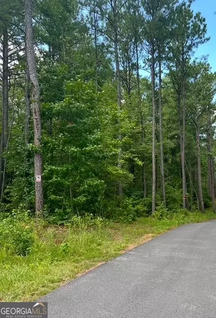 Senoia, GA 30276,0 Deep South RD #LOT 2