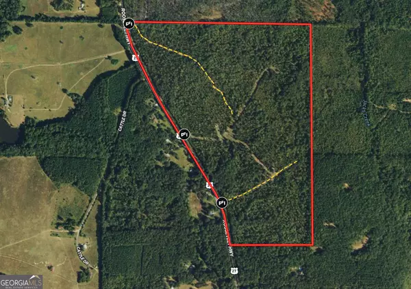 144+/- AC Roosevelt HWY, Greenville, GA 30222
