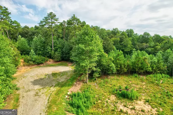 Blue Ridge, GA 30513,LOT 73 River