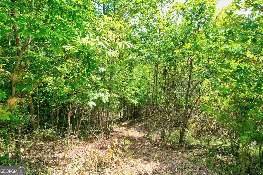 LOT 20 River, Blue Ridge, GA 30513