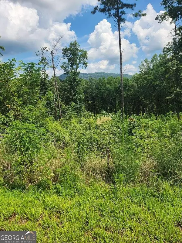 Ellijay, GA 30540,LOT 131 Lot 131 Twisted Oak #131