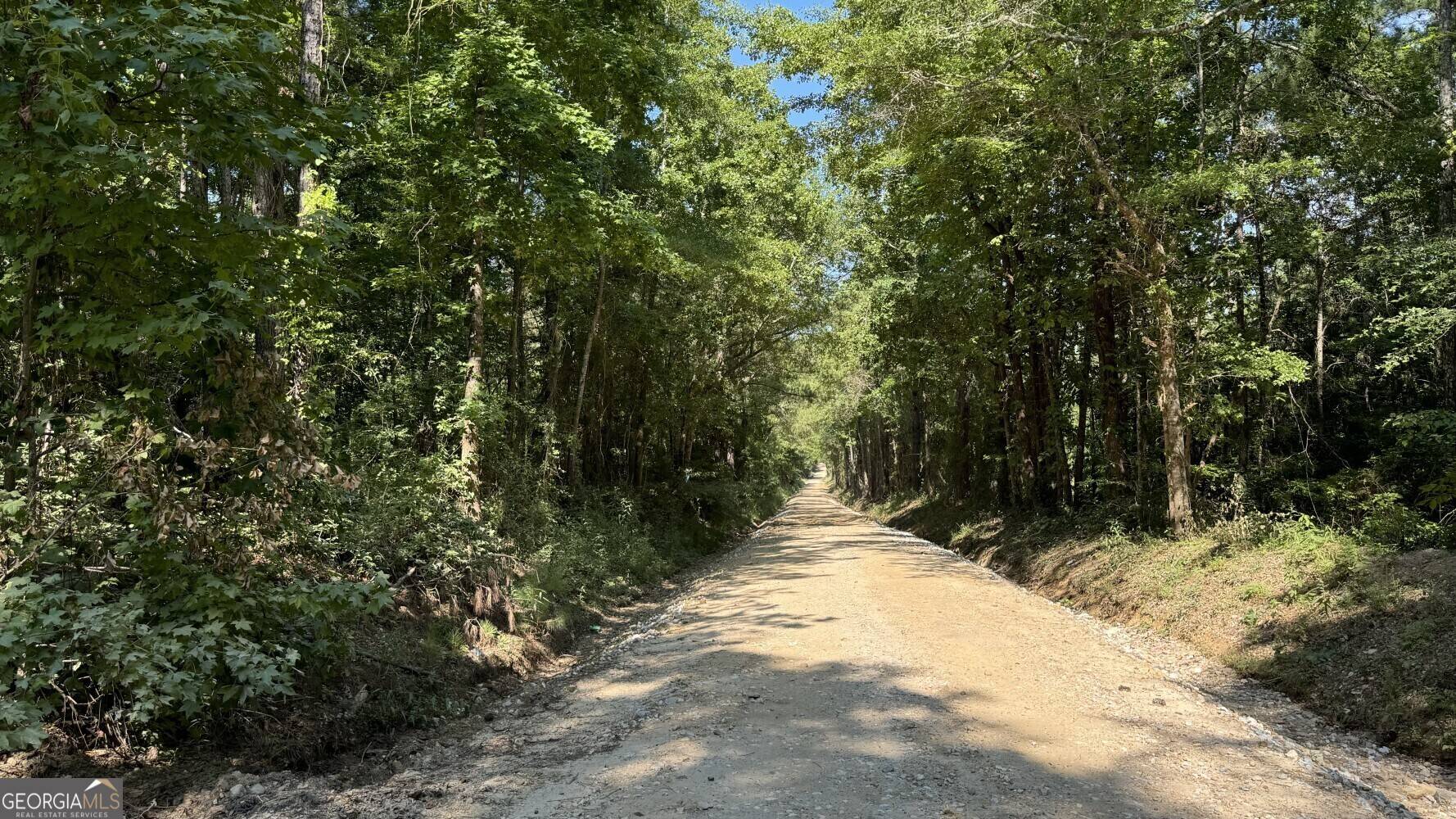 Opelika, AL 36804,0 County Road 138 #LOT 9