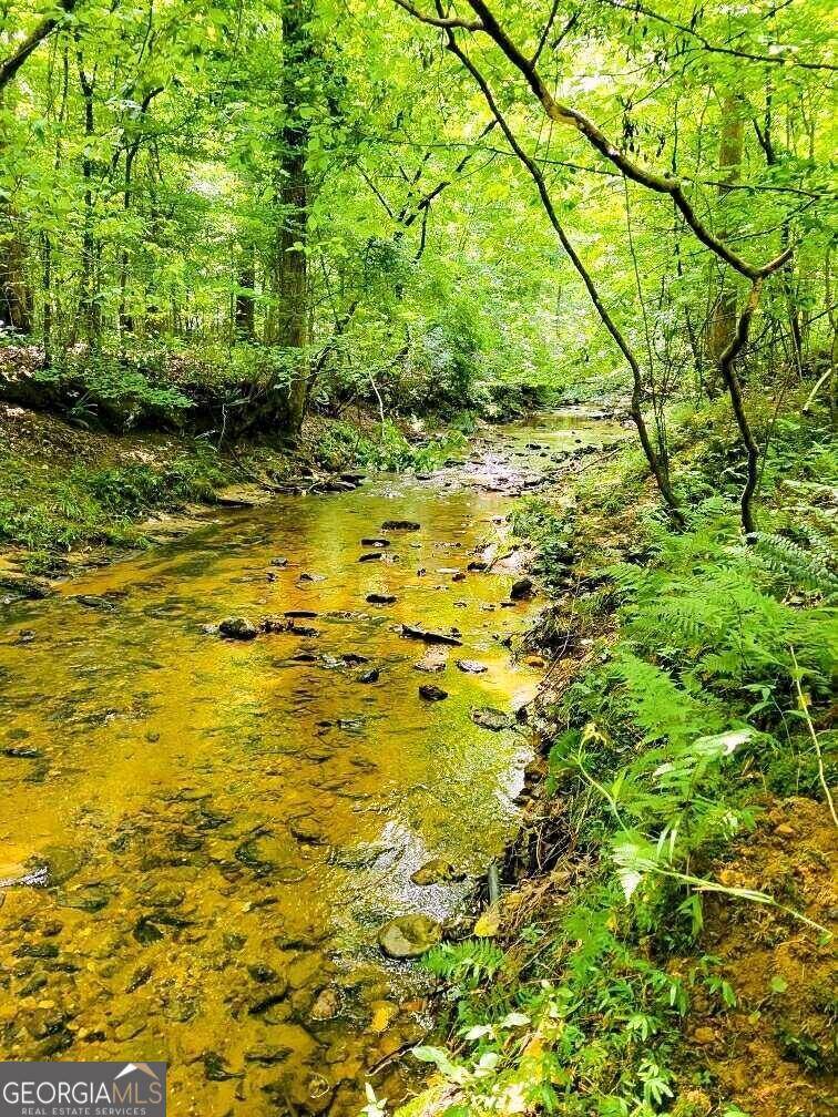 Rockmart, GA 30153,0 Nathan Dean Parkway