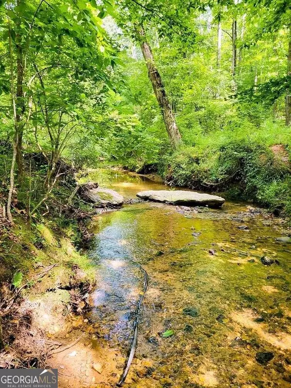 Rockmart, GA 30153,0 Nathan Dean Pkwy