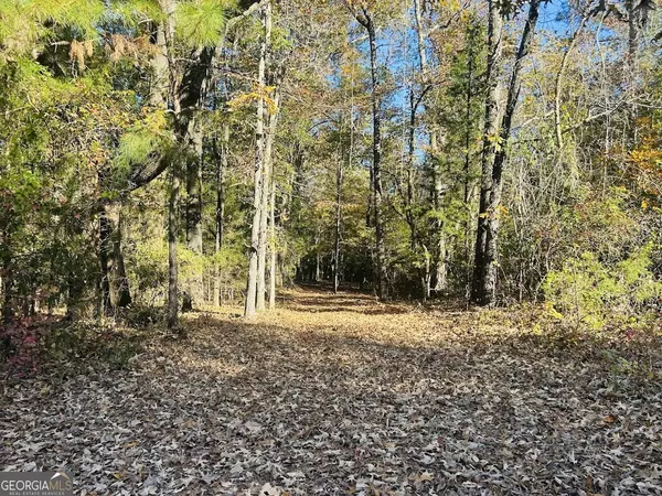 Opelika, AL 36804,0 County Road 138 #LOT 11