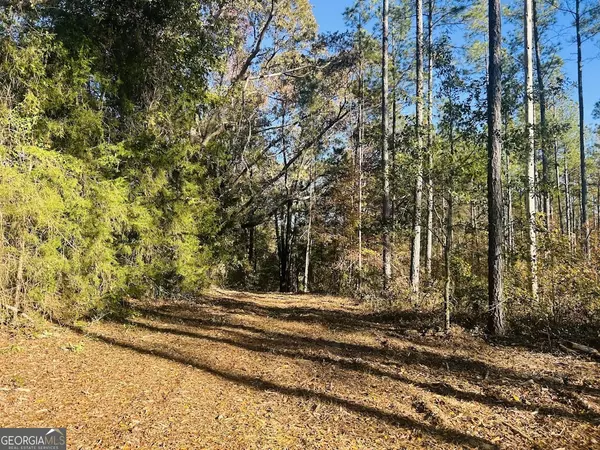 Opelika, AL 36804,0 County Road 138 #LOT 11