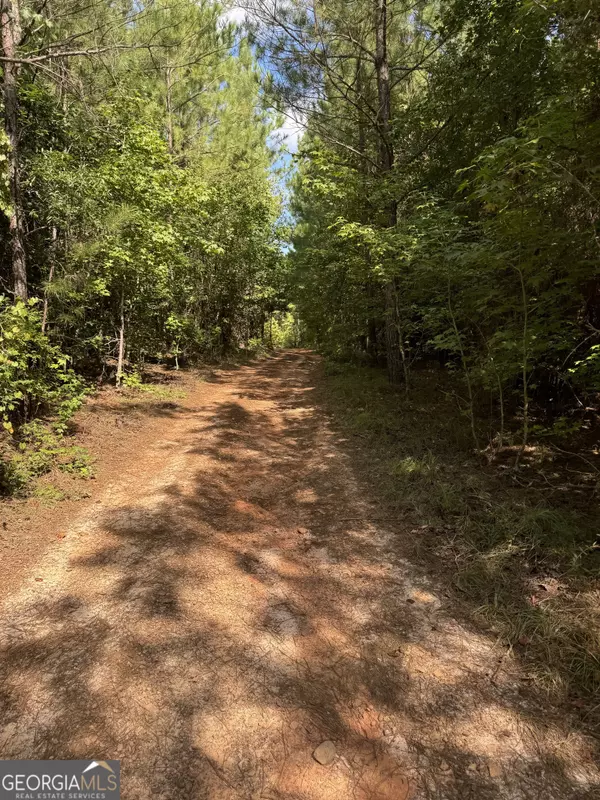 Sparta, GA 31087,0 Brown Chapel RD