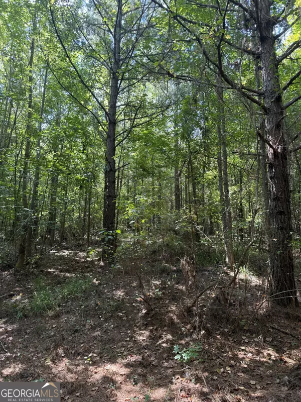 Sparta, GA 31087,0 Brown Chapel RD