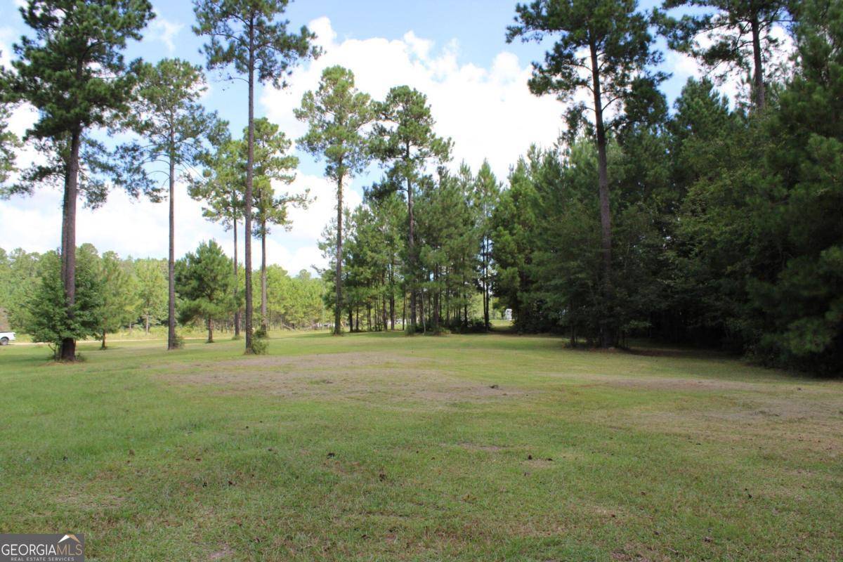 Fitzgerald, GA 31750,0 Sturgeon Creek RD #LOT 3