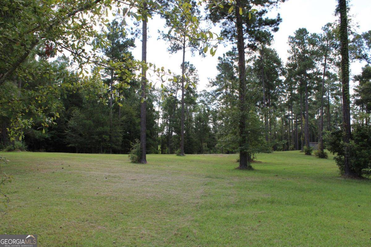 Fitzgerald, GA 31750,0 Sturgeon Creek RD #LOT 3