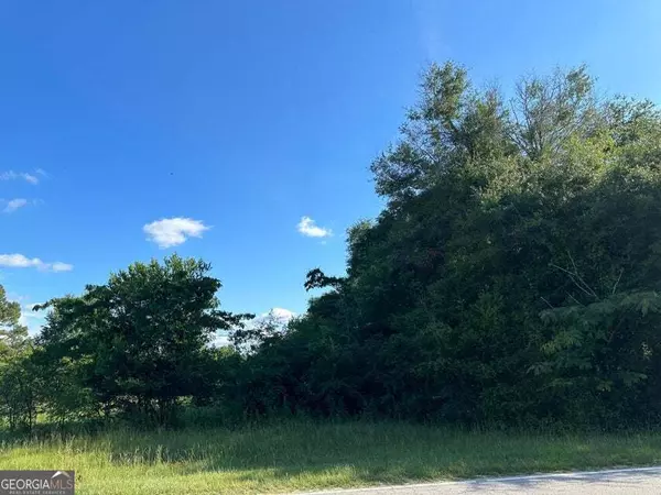 Hephzibah, GA 30815,1412 Hephzibah McBean RD