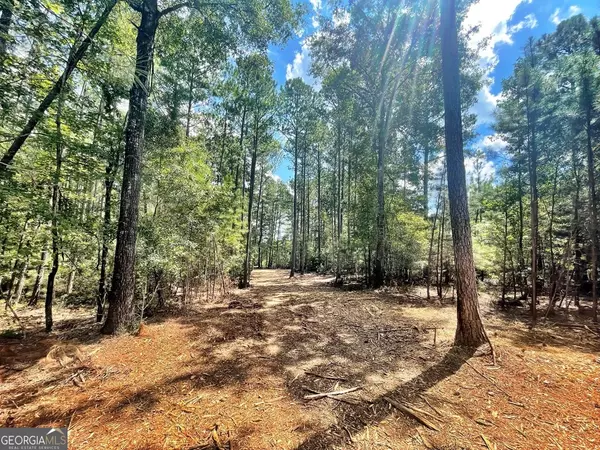 Zebulon, GA 30295,1 Bolton RD