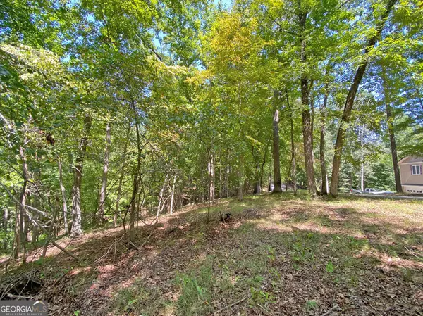 Dahlonega, GA 30533,0 Chokecherry LN