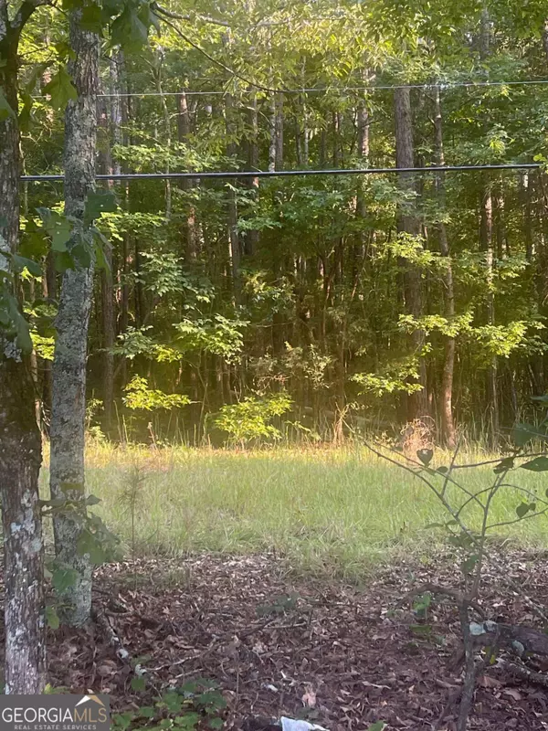 0 Taylorsville RD, Aragon, GA 30104