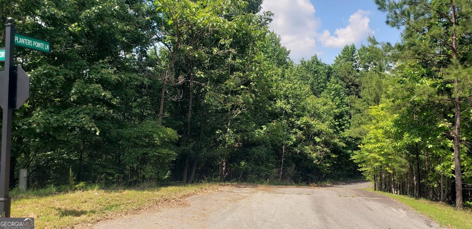 Baldwin, GA 30511,0 Planters Pointe LN