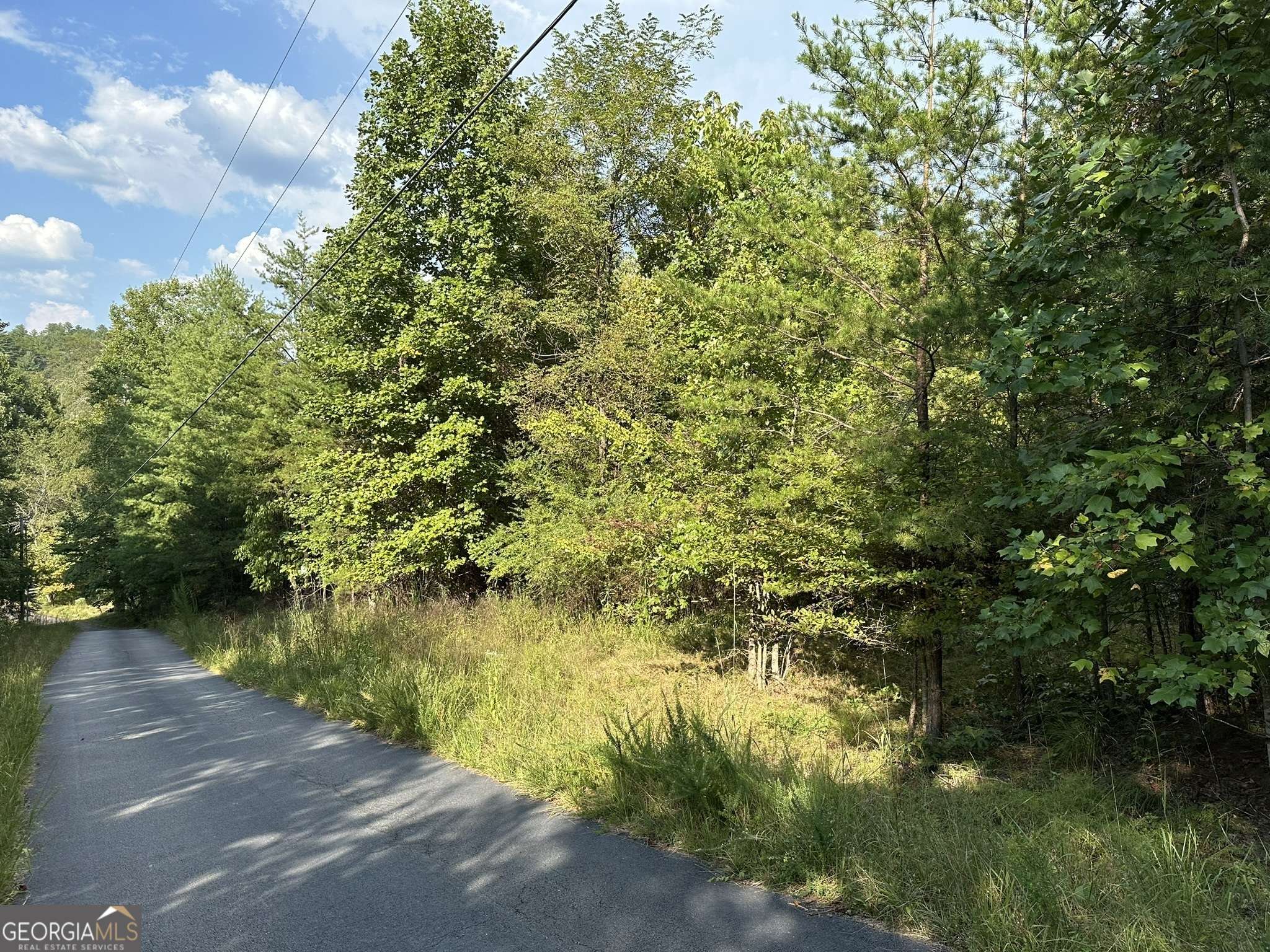 Blue Ridge, GA 30513,TRACT 1 Kyle-Arp RD