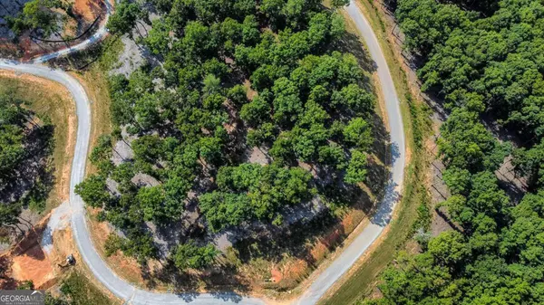 Morganton, GA 30560,LOT 84 Ridge DR