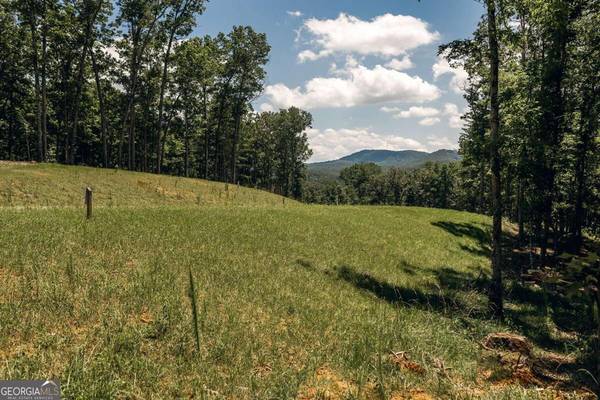 LOT 13 Ridges Of Blue Ridge, Morganton, GA 30560