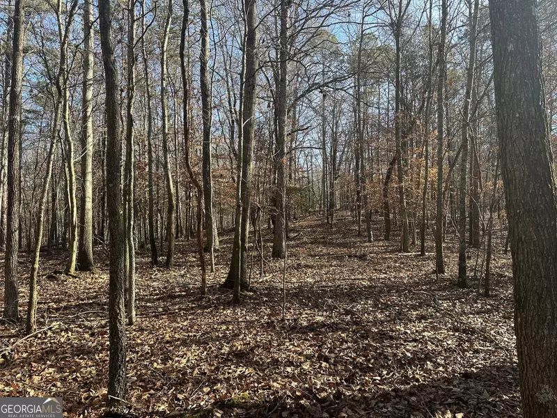 18 ACRES Dove Hill, Royston, GA 30662