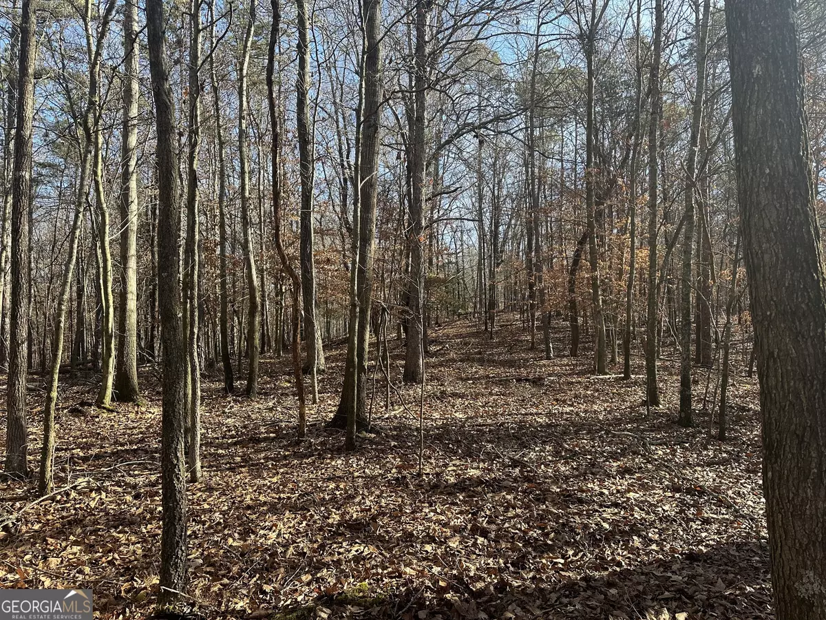 Royston, GA 30662,18 ACRES Dove Hill