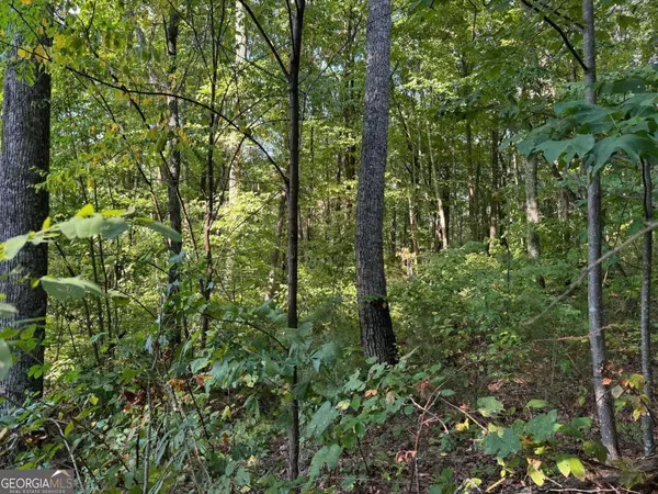 Ellijay, GA 30536,0 Trailwood DR