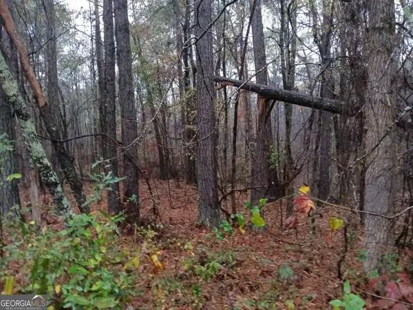 Locust Grove, GA 30248,0 South Singley DR