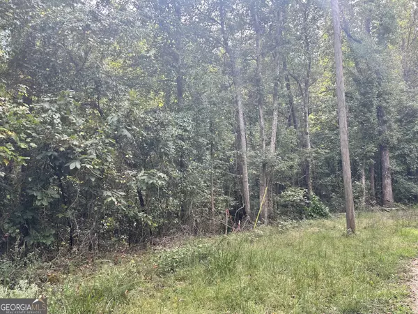 Carnesville, GA 30521,0 Lot 8 Moss