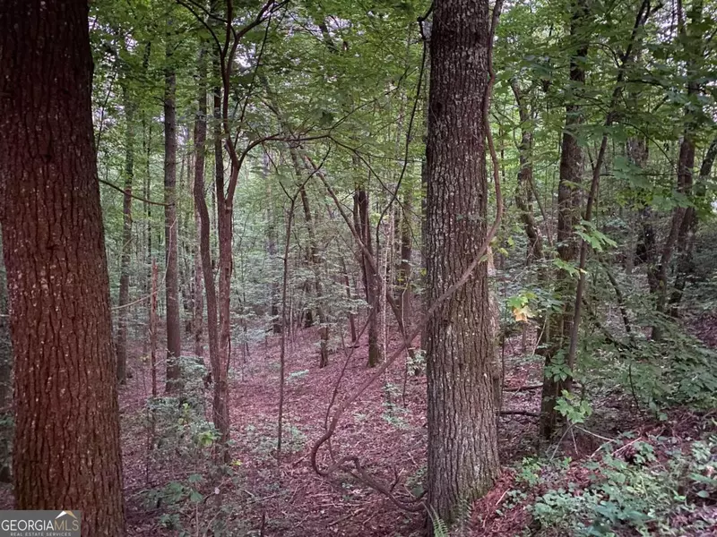 0 Whitecliff DR, Ellijay, GA 30540