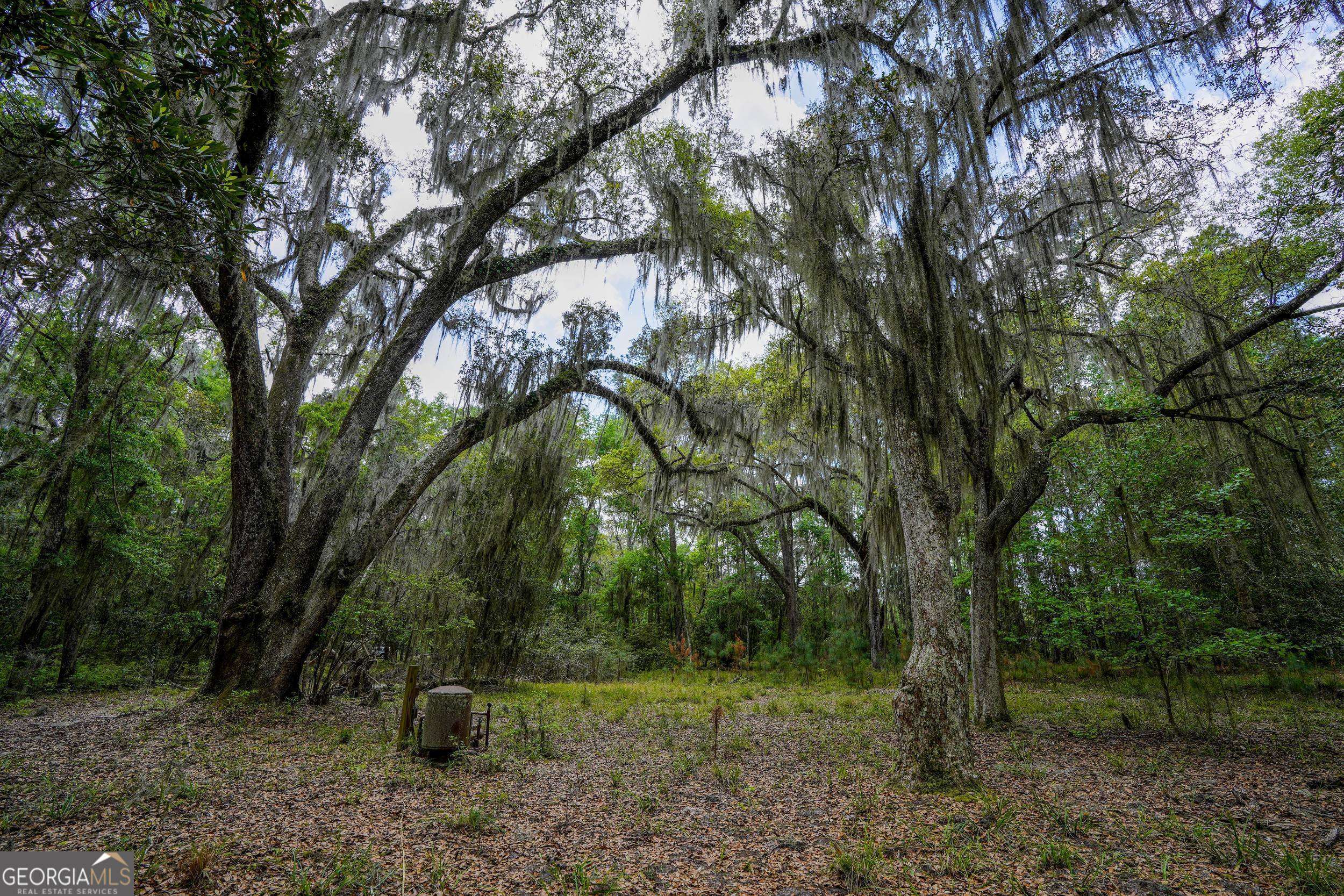 Woodbine, GA 31569,0 Simons Bluff RD