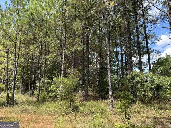 PARCEL #5 Tuck Persons HWY #167.2 ACRES, Talbotton, GA 31827