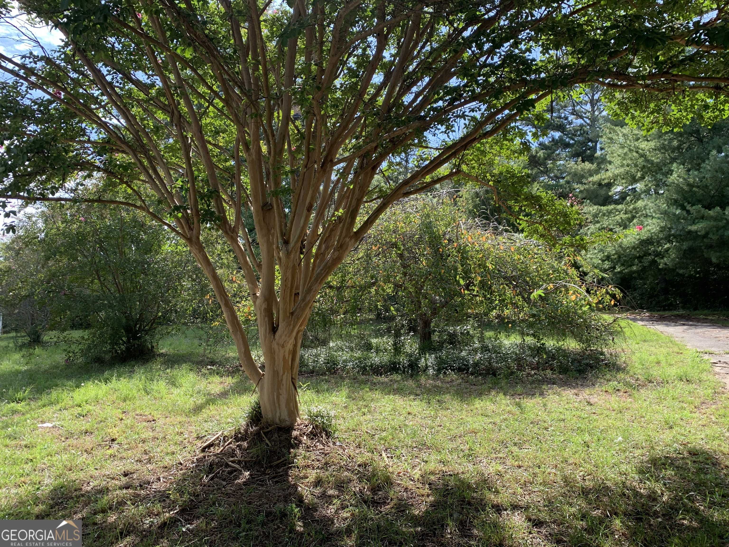 Eastanollee, GA 30538,28 Memorial DR