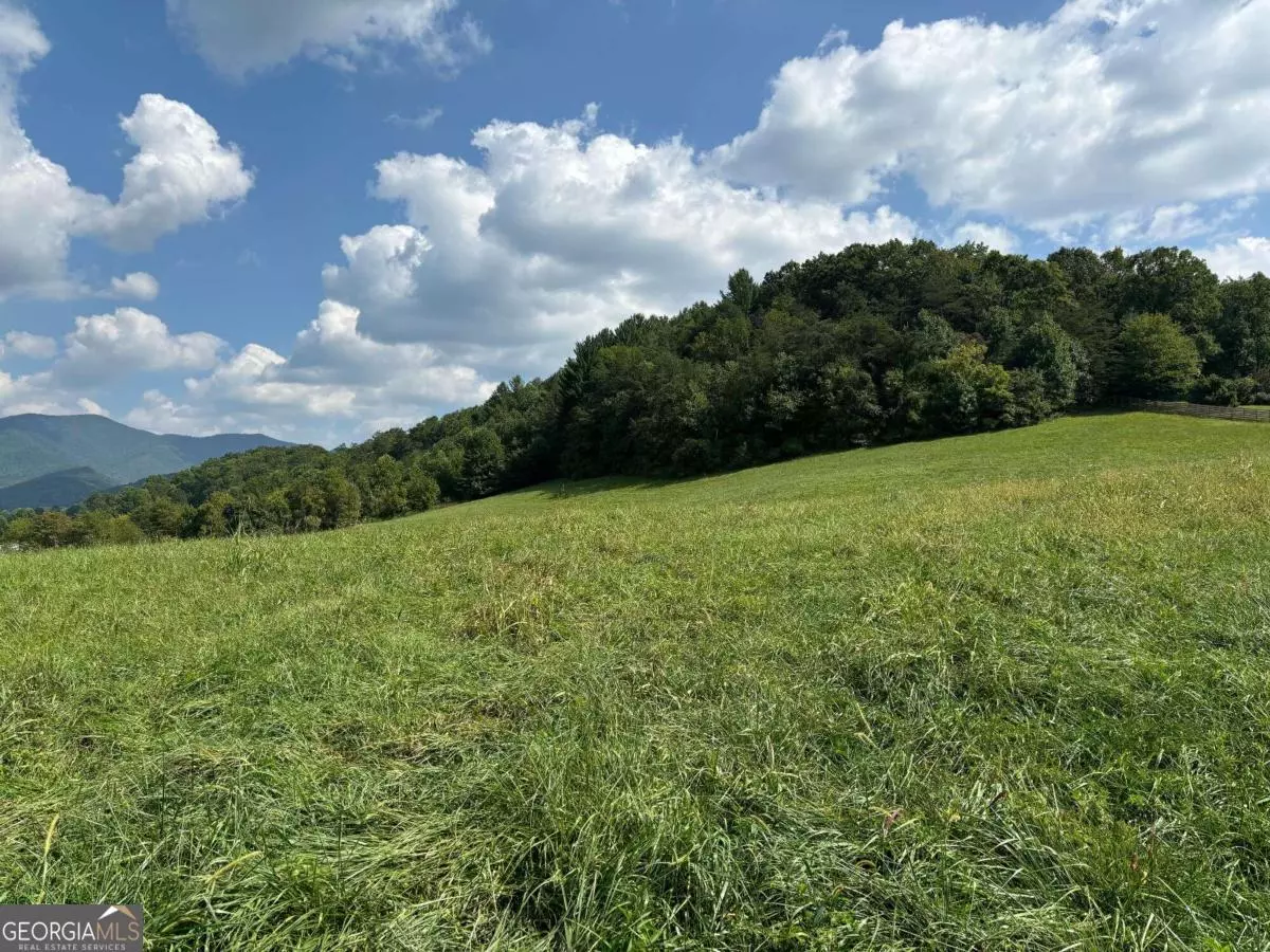 Hayesville, NC 28904,9.12-AC Mission Hill RD