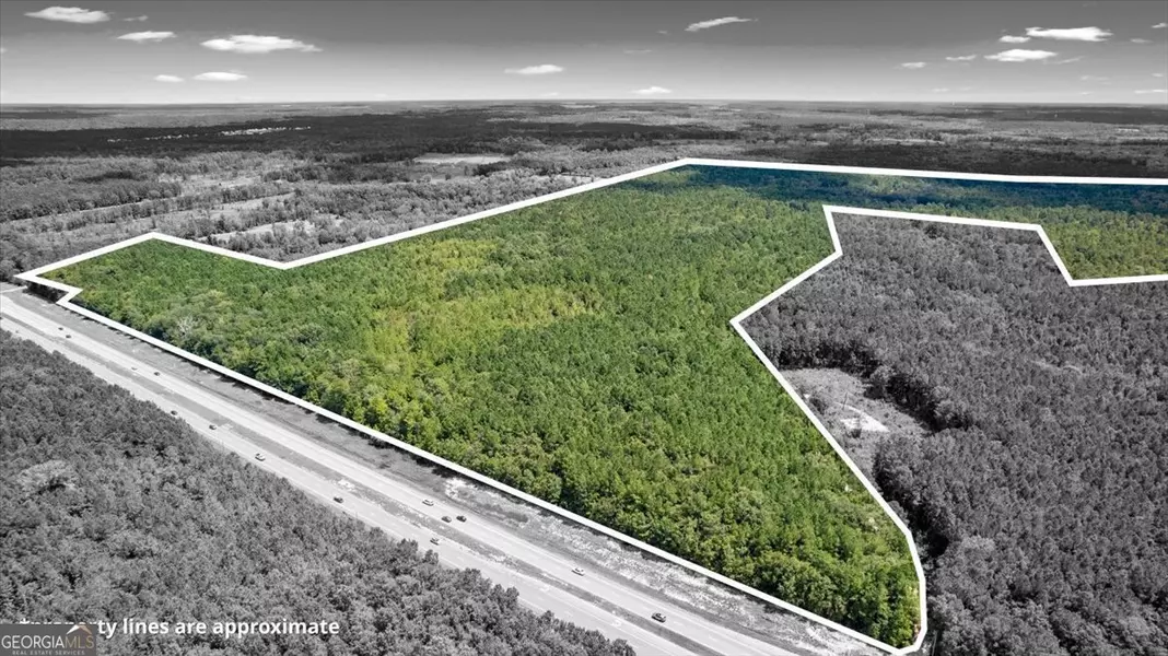 262.44 AC Leroy Coffer HWY, Fleming, GA 31309