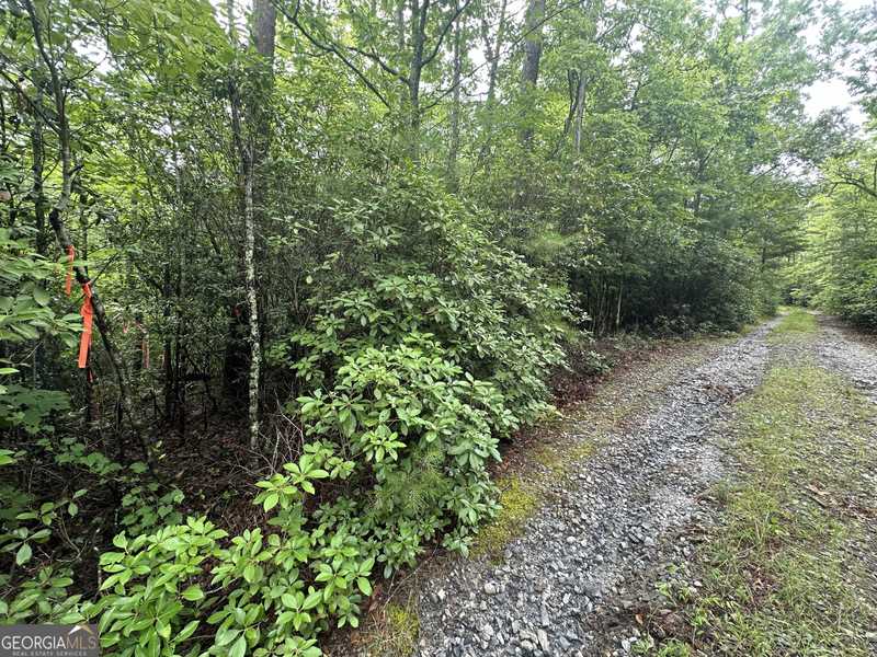 0 Loblolly DR, Sautee Nacoochee, GA 30571