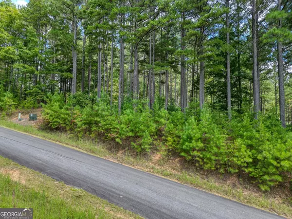 Blairsville, GA 30512,LOT 236 Riverside on Lake Nottely