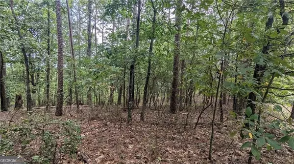 Ranger, GA 30734,278 Adair DR NE