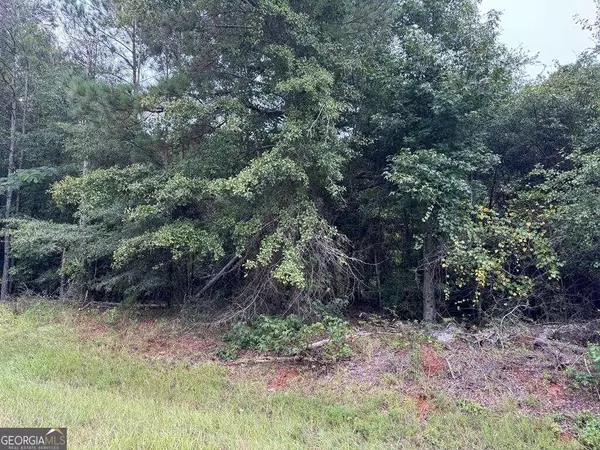 Americus, GA 31719,0 South Ga Tech Pkwy