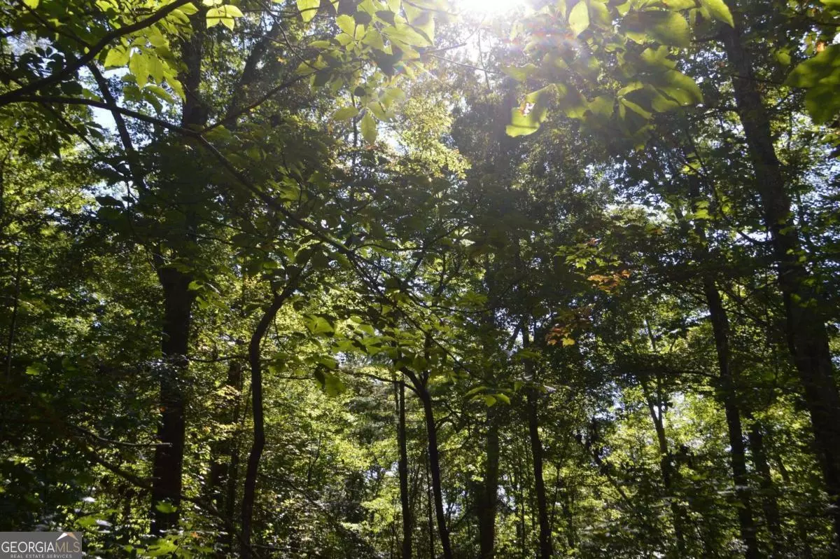Clayton, GA 30525,LOT 5 Hemlock RDG