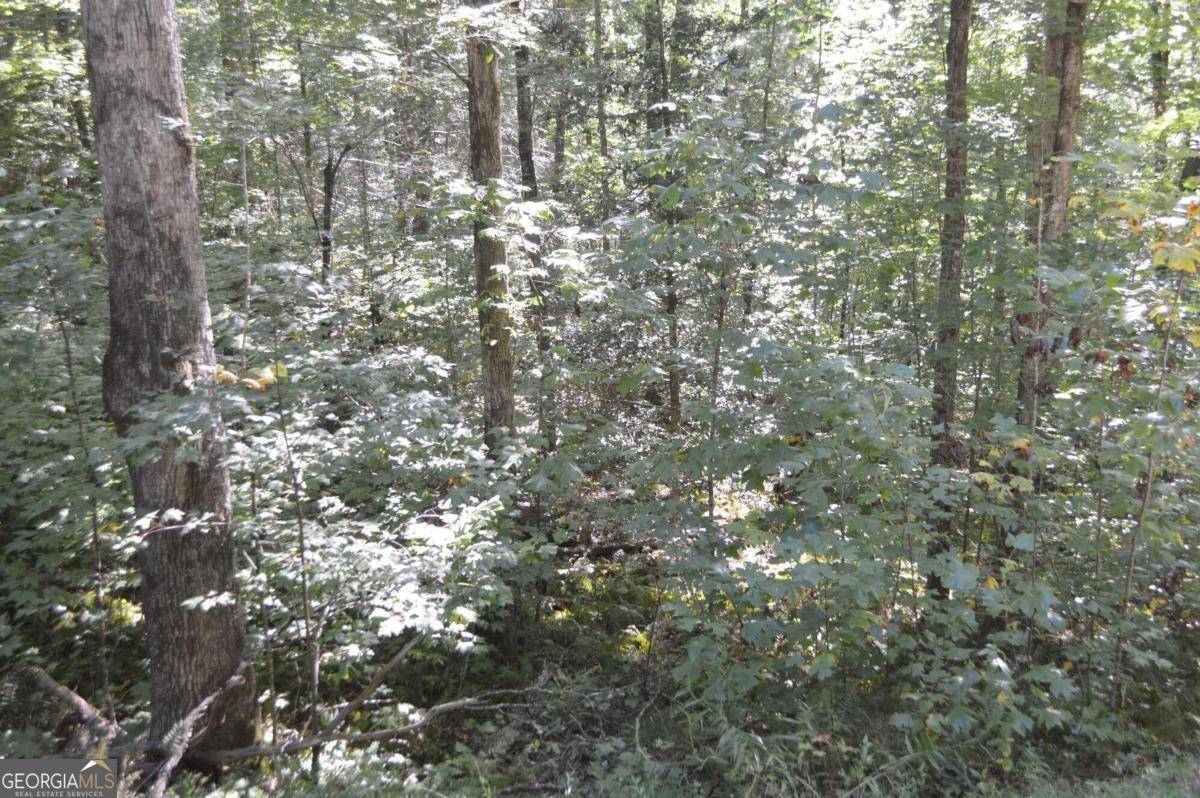 Clayton, GA 30525,LOT 5 Hemlock RDG