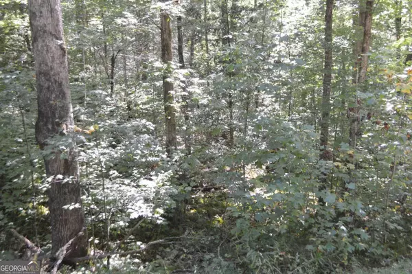 Clayton, GA 30525,LOT 5 Hemlock RDG