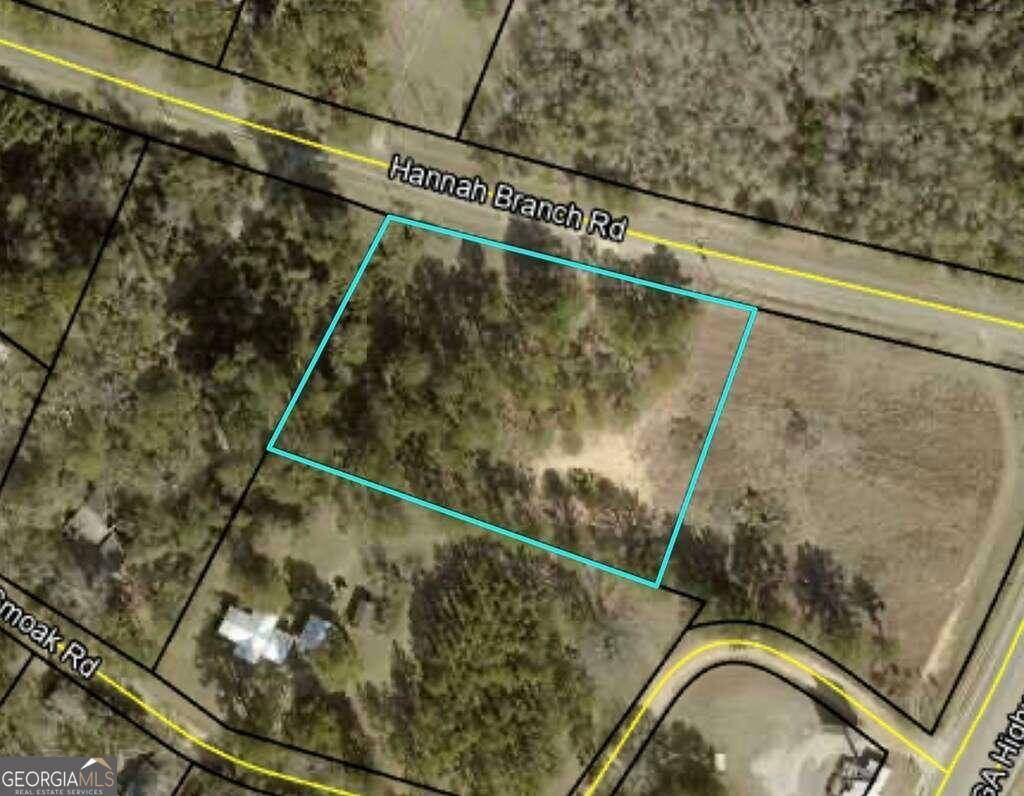 Cordele, GA 31015,0 Hannah Branch RD