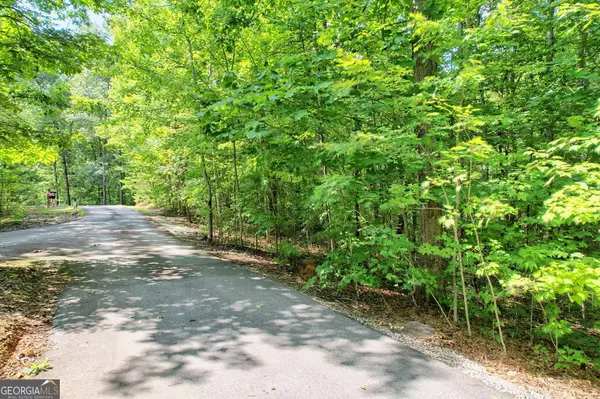 Clayton, GA 30525,0 Forest Canopy