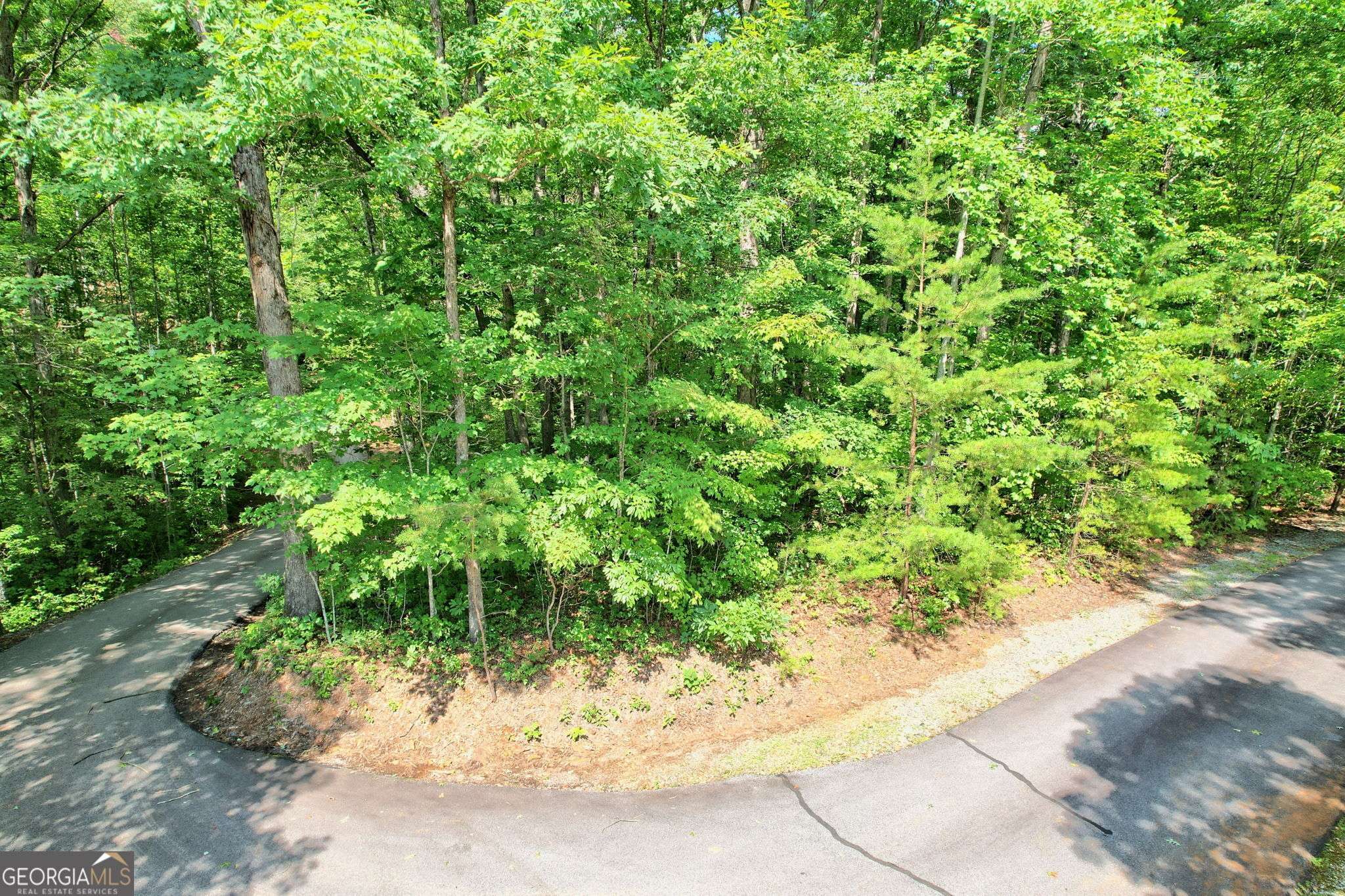 0 Forest Canopy WAY #LOT 3, Clayton, GA 30525